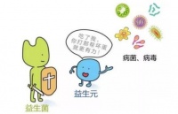 益生元是如何发挥健康益处的？博兰氏益生元怎么样