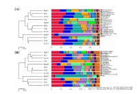 三种海藻寡糖的益生元作用分析—维科号