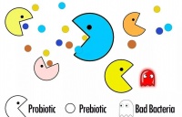益生元的作用与成分解析