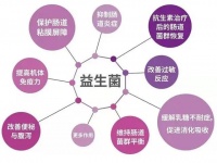 益生菌、益生元、合生元、后生元你分清了吗？