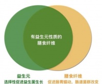益生元全图谱：7大明星成分拆解