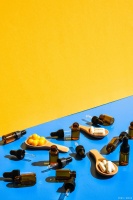 益生元与益生菌的区别与功效解析