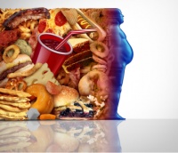 益生元：肥胖人群肠道健康与减肥的秘密武器