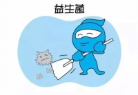 益生菌的“姐妹”，你晓得没？