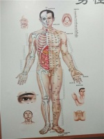 广西健康管理与中医人的摇篮梧州针灸推拿技能高级培训班,小儿推拿,人人培训网