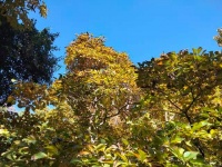 李友鹏原创丨中医养生干货：揉腹推拿，懒人也能轻松瘦