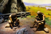 煎、炸、炮、炖、烹、腌、烘、烙、烤：一部中国烹饪技术史