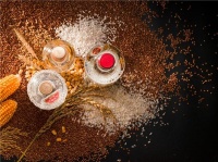 秋意渐浓，初霜已至：饮一杯和美佳酿 愿一季秋冬无恙