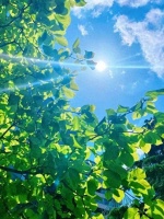 跳绳减肥这样跳，燃脂效果最明显，3个月瘦20斤