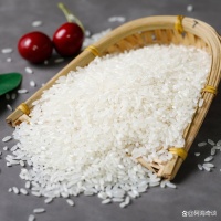 同样都是米酒，广东、广西和江西的米酒有什么区别？