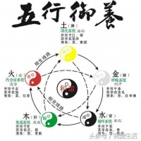 五谷、五脏、五色、五味的养生讲解,杂粮养生法