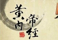 高粱：亚健康人群的天然健胃妙方