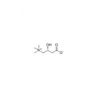 左旋肉碱：科学瘦身的秘诀与应用