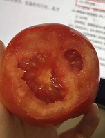 晨起一颗番茄，冬天也能悄悄掉秤