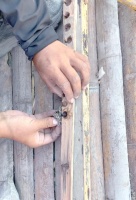 荒野求生挑戰(zhàn)賽中的減肥奇跡：趙鐵柱的極限生活體驗