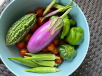 常吃的蔬菜也要警惕寄生虫，日常该如何清洗处理呢？看完你就明白