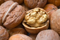 减肥期间可以吃哪些零食