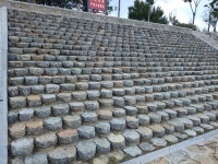 枯荣卷柏：#减肥感受心得# #减肥决心语录# 
 第一，健康优先：减少肥胖带来的慢性病风险，高血压、高血脂、高血糖都有可能源于肥胖，而肥胖导致的疾病远远不止这些，只有远离肥胖 ，才能避免这些疾病的发生！还有就是爬楼梯不喘，你试想一下 当肥胖过度以后，你爬个楼梯试试，看你喘不喘？而且对你的膝关节也会造成严重的负担，就是减肥以后熬夜能快速恢复，身体更轻盈有活力！
第二，形象加分：穿喜欢的衣服不用纠结尺...