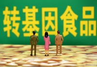 转基因食品的安全性：科学验证与公众担忧的辩证视角