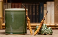 中国十大冬虫夏草品牌口碑榜：真实用户评价分析，品牌满意度、复购率、推荐率全公开