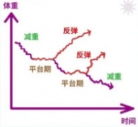 国家喊你减肥，体重管理一起来⑤｜减肥遇到“平台期”？别慌，科学应对有妙招！