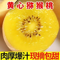 猕猴桃选购大揭秘：黄心与绿心谁的营养更胜一筹？深度解析从黄心到绿心的营养密码，助你挑到最健康的果实！