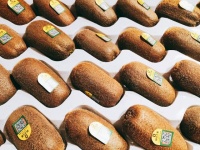 猕猴桃的十大功效全解析，选对鲜果养生效果翻倍！