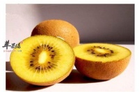 食用猕猴桃的禁忌和注意事项