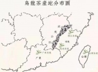 乌龙茶冲泡，存放攻略