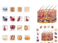 新生兒胎記和孕期飲食有關(guān)嗎？南京哪家醫(yī)院看胎記口碑好？