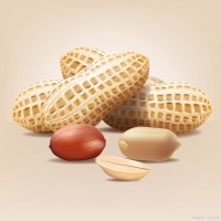 “长寿果”变“热量弹”？花生=黄油是真的！医生急呼：快停这种吃法