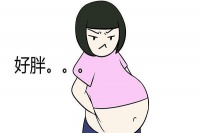 粗糧能替代米飯面？不吃主食也能瘦？專家解析健康飲食新趨勢