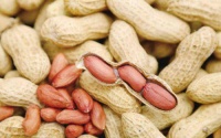 吃花生能減肥還是增肥？看完之后明白了