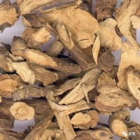 中草藥水”引發(fā)中毒性腦病，這些中藥材不能隨便喝