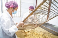 百年傳承： 古岳峰藥糖