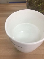 讓椰子粉更好喝的沖調(diào)小貼士