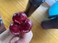 常吃櫻桃有什么好處？科學(xué)解析國產(chǎn)美早櫻桃的6大核心健康價值