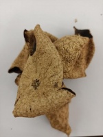 秋天必吃石榴：養(yǎng)顏?zhàn)o(hù)血管還調(diào)腸胃，3種超實(shí)用避坑吃法