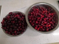 【步驟圖】健康的追劇小零食——櫻桃干的做法