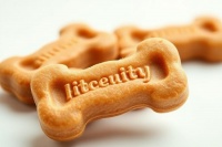 10款寵物狗零食，讓你的毛孩子愛不釋口，新手養(yǎng)寵必備！