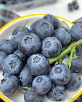 已瘦12斤！親測(cè)有效，春天這樣吃...@瘦下來(lái)了的動(dòng)態(tài)