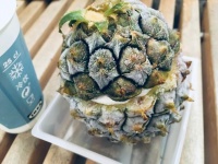 奶酪的營(yíng)養(yǎng)價(jià)值及功效全解析，選對(duì)款輕松吃對(duì)營(yíng)養(yǎng)！