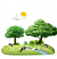 【第465期】您了解奶酪吗？