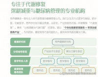 科普：减肥哪个牌子性价比高？2026八大减肥品牌实测盘点，科学选品不踩坑