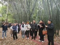 我校面向東南亞“特殊”短期留學(xué)生 開展技能專題培訓(xùn)