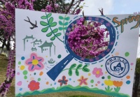 【心理健康教育】春日创“艺”・心向美好