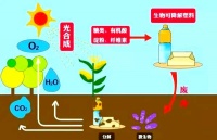 生物降解材料的崛起與應(yīng)用前景