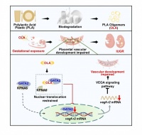 公共衛(wèi)生學(xué)院黃以超、徐德祥教授團(tuán)隊(duì)在《美國(guó)科學(xué)公共圖書(shū)館