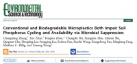 復(fù)旦環(huán)境系王梓萌團(tuán)隊(duì)ES&T：傳統(tǒng)與可降解微塑料均可對(duì)土壤磷循環(huán)造成損害