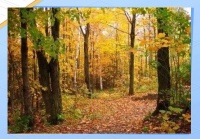 環(huán)保材料新勢(shì)力：七大生物可降解塑料解析